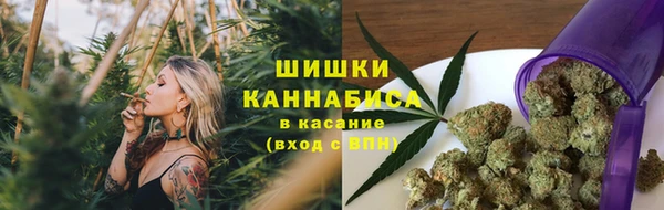 крисы Армянск