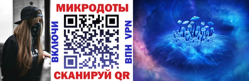 Псилоцибиновые грибы мицелий  Лукоянов 